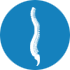 Spine Surgery
